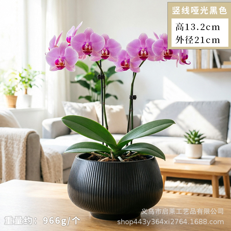 Cerámica orquídea mariposa maceta especial ins crema viento alto sentido decoración del hogar verde cerámica maceta grande image 25
