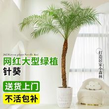 ���;Gֲ����̩��Ҭ�Ә��辰�������ؙ����҃ȾGֲ�͏dͥԺ����ȩ