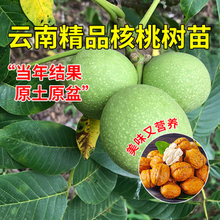 ��ϰl������Ҙ����޽ӵ����Ϸ������Nֲ����������ͥԺ����