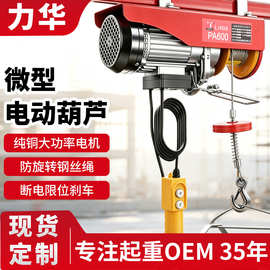 微型电动葫芦跨境200kg300kg室外升降提升机12米220v微型电动葫芦