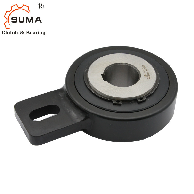 Rsbw Series Backstop One Way Clutch with Torque Arm Rsbw Series Backstop One Way Clutch with Torque Arm