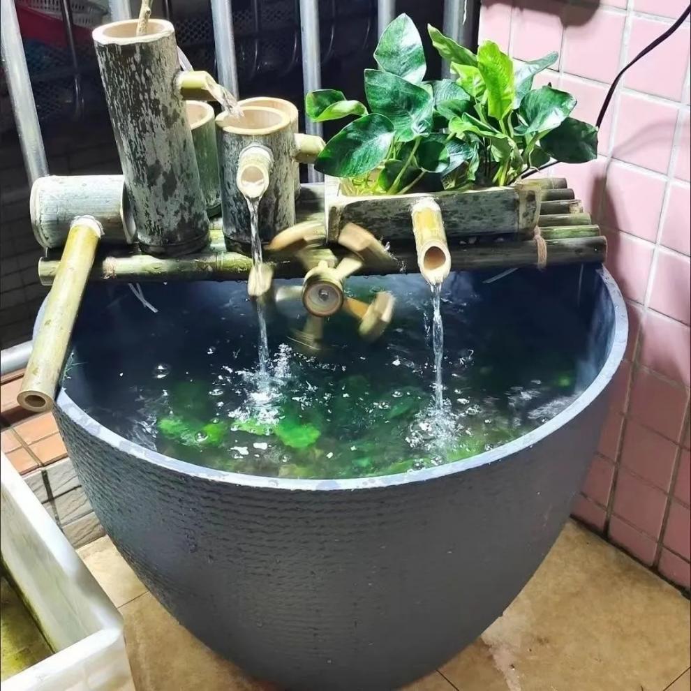 5a0f992a-dda0-4962-8874-482742d100e4.jpe