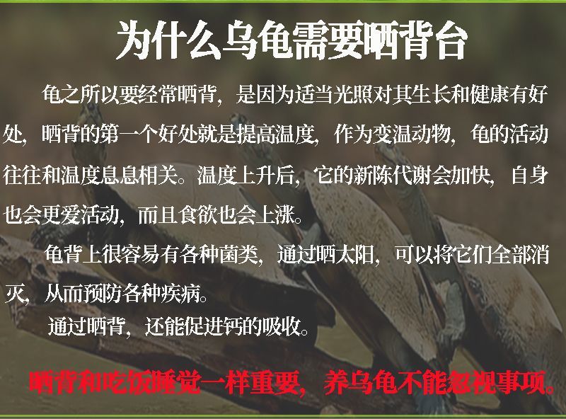 3e02b428-e23d-4dde-a066-e5f55fb2ca62.jpe