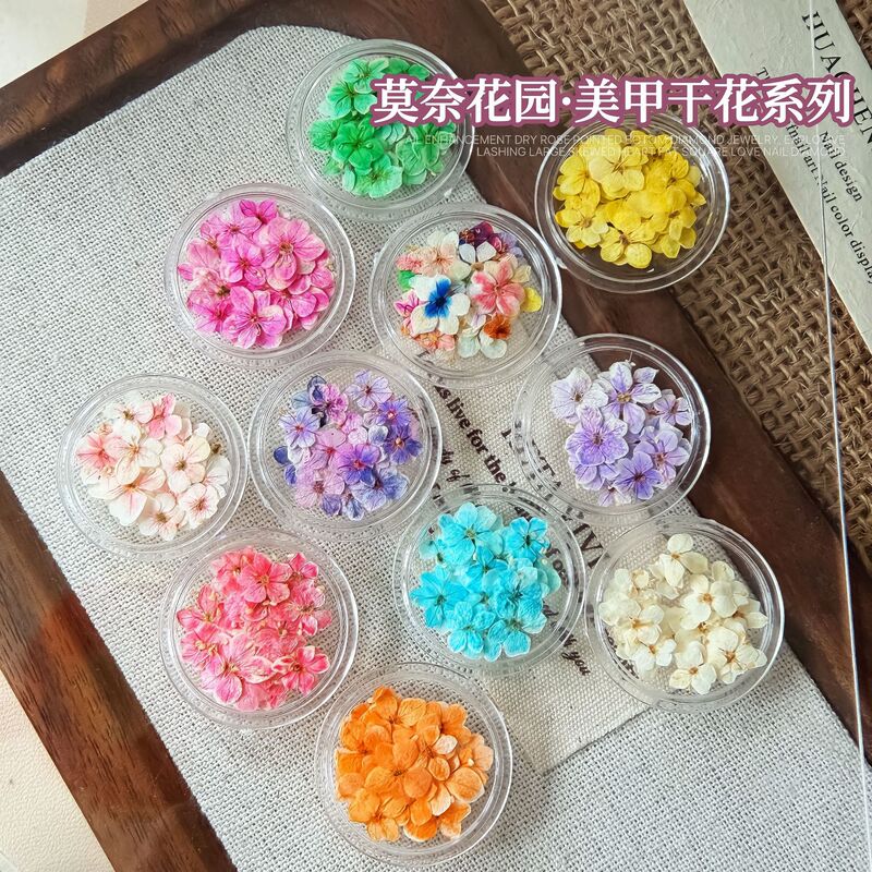 Monet Garden Dried Flower Series Colorful Flower Nail Decoration Handmade Nail Art Dried Flower DIY Materials