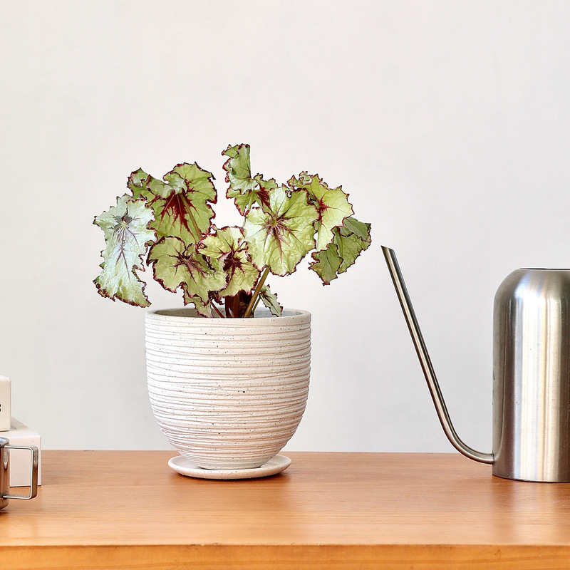 High-Quality Texture, Handcrafted White Ceramic Flower Pot, Round Striped Coarse Pottery Pot, Green Plant Pot Set