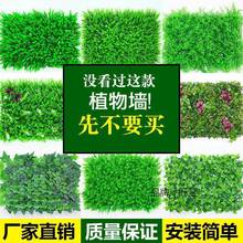 �Gֲ������ֲ��Ƥ���b��҃ȱ���������Gɫ�ڒ����ϼ�ƺ�^