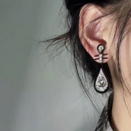 Xiaohongshu's same style black Pipa earrings  new earrings Chinese style ethnic style elegant temperament earrings
