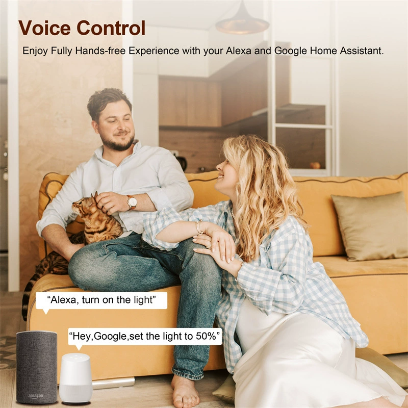 Графитовый ZigBee переключатель модуль регулярно голос-голос контроль освещение проход скрытый умный пропуск фактор кросс-бордер