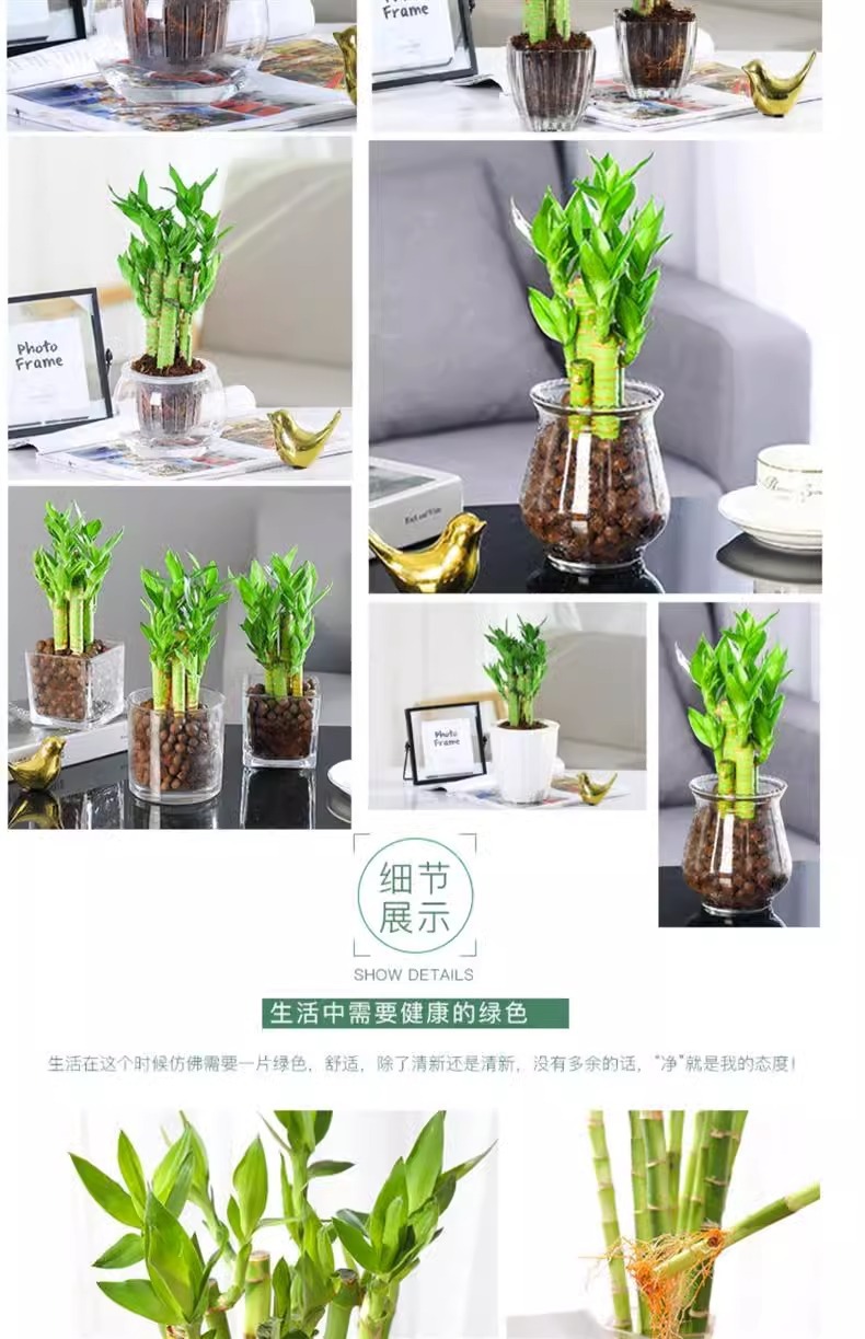 68cb3087-c019-464d-abca-aa5eaaa5f396.jpe