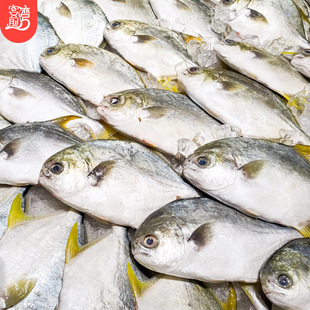 ���K�~ ���r�����y�K�~ƽ�~�������~�Mœһ�����lֱ�����r��