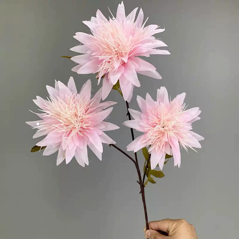 3등 아네모네 꽃 - 라이트 핑크