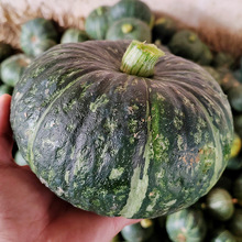 �x�����ϹϷN�ѾGƤ�Ϲϴ����ļ�ܛŴ�ϹϷN����@�߲˷N�ӏS��