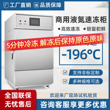 小型速冻柜 液氮低温速冻机 冷冻机包子水饺海鲜速冻柜食品液氮柜