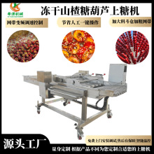 山楂球冰糖葫芦专用上糖机 自动保温加热 糖石榴上糖机器