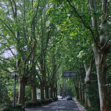 ���編����ͩС�編ͩ���е�����ľ�G���е��L�����ľ��ľ��ͩ