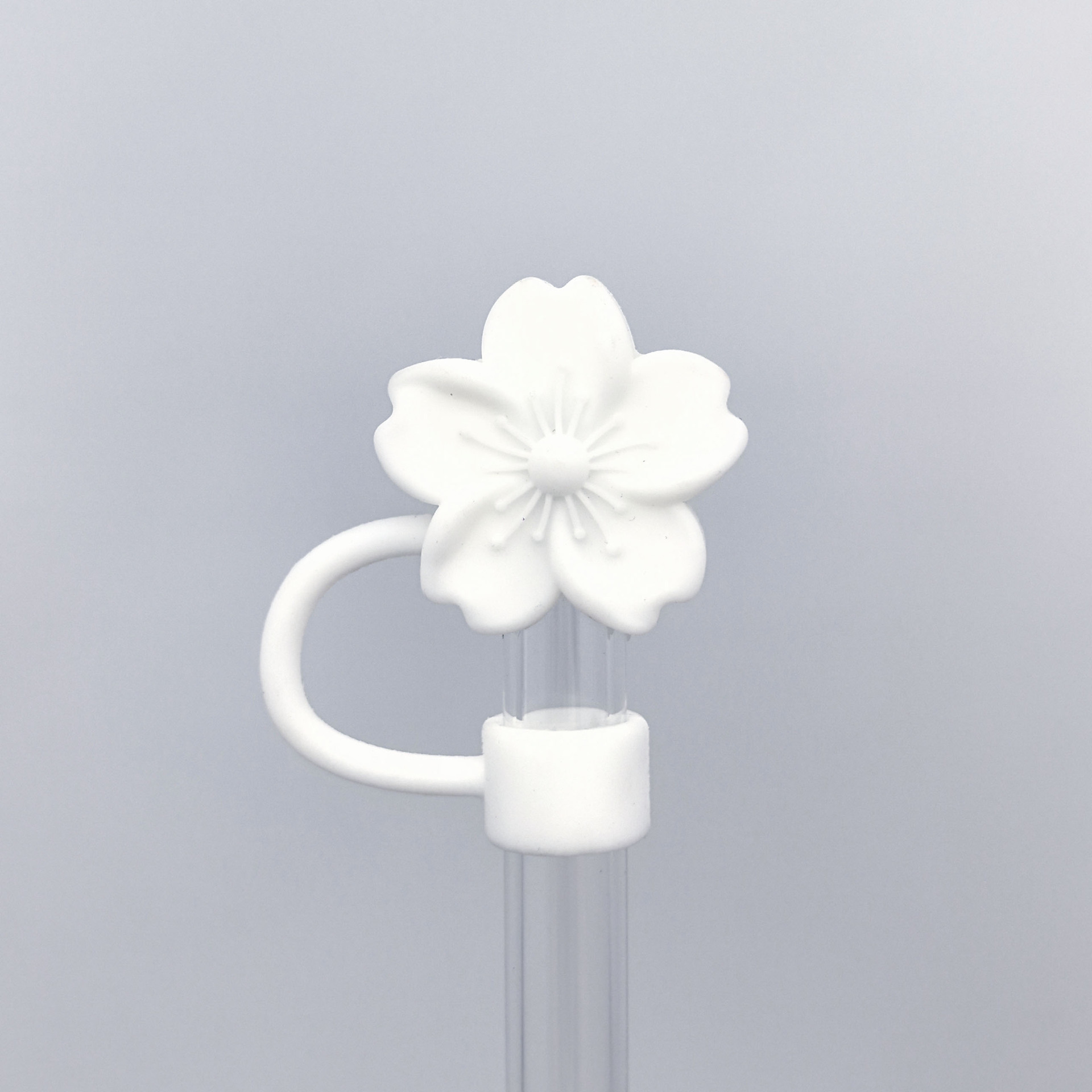 순백색 베고니아 10mm/개별포장