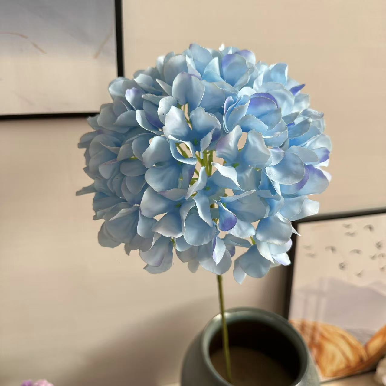 单支绣球1.8浅蓝
