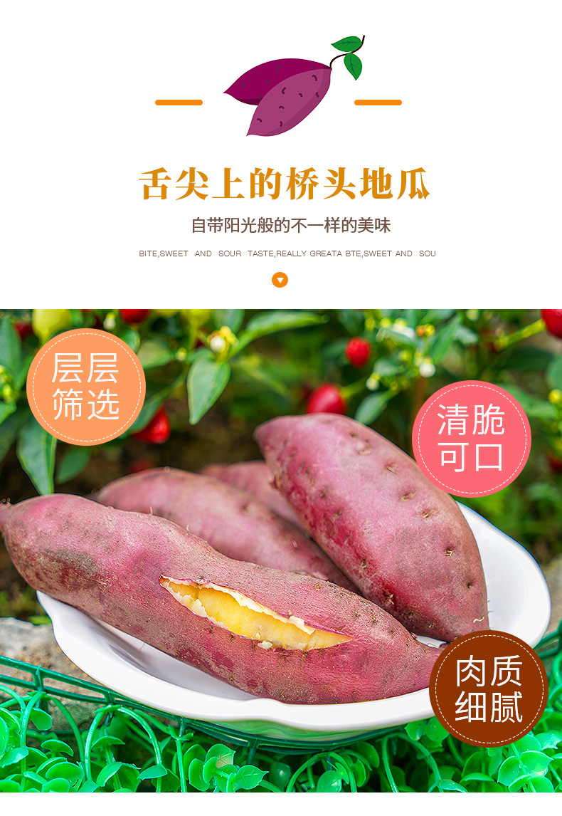 詳情圖片_4.jpg