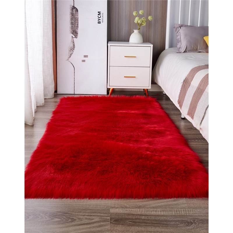 Rug Living Room – Other Car Carpet - china-red-custom