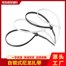 �S�����iʽ����������4.6���ߏ�3*150*4*200�̶�����PA66����
