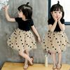 Summer clothing, children's dress, skirt for early age for princess, Korean style, western style, tulle