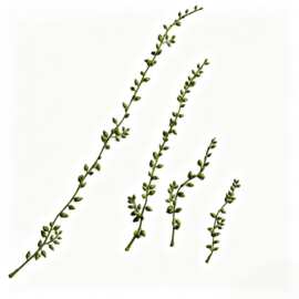 仿真情人泪藤条 仿真佛珠多肉挂藤 塑料珠粒藤蔓 手工DIY花环插花