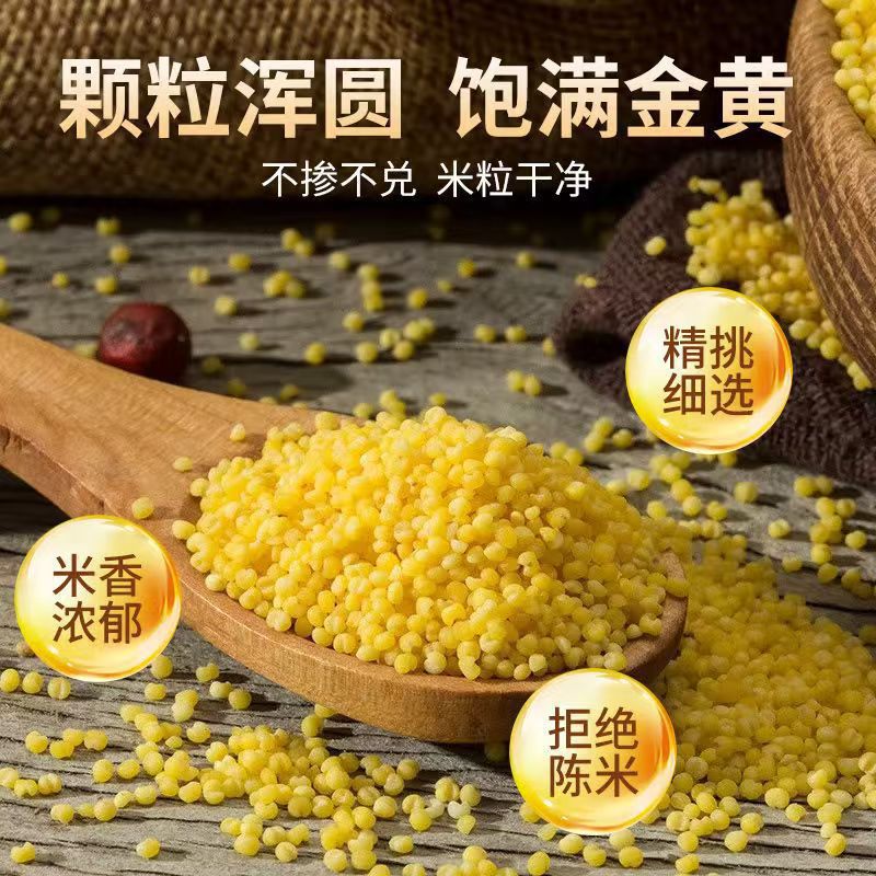 Yellow Millet Huang Xiao Mi 500g Bag New Crop Hulled Millet Grain for Congee Porridge and Culinary Use specifications