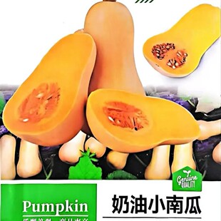 �����ϹϷN�Ӵ����＾�ļ������۱���Ŵ�t���������Ϲ�Ʒ�N��ȫ