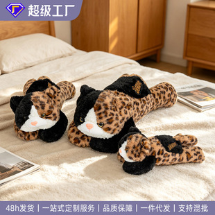 �ɐ�ſſ����؈ë�q��ߏ͹ű��y�L�l����С؈���д��Ͽ���Դ�^��