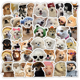 100�N���Գ����Ц�W�tС���T�f�N���b��֙C��ˮ����Xƽ�����