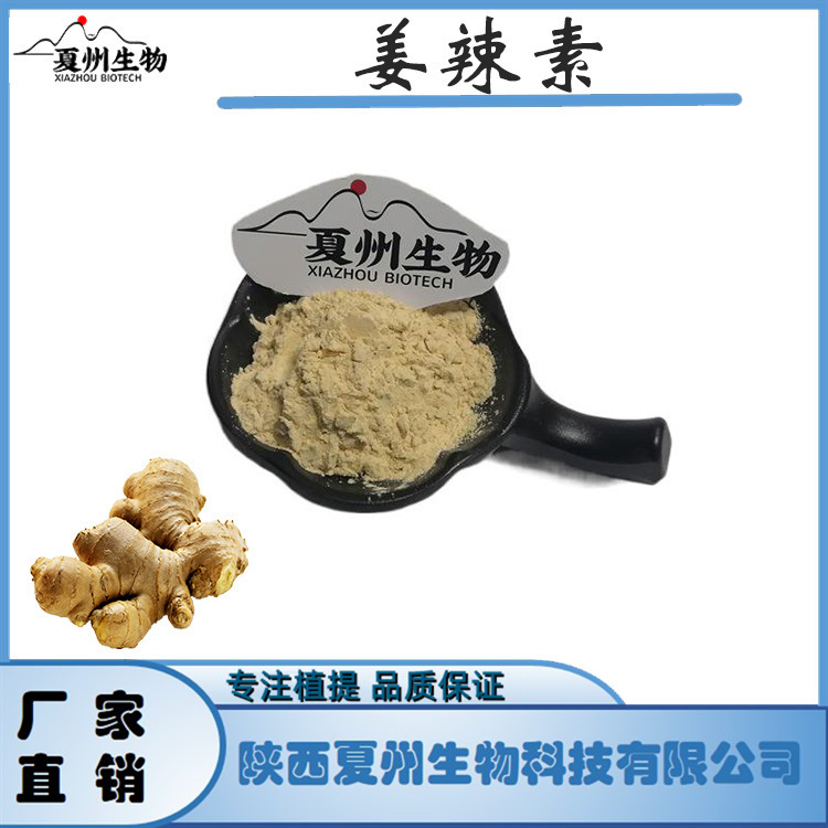 姜辣素1/5/10% 生姜提取物 夏州原料 水溶性 夏州生物 kg装