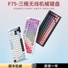 F75PRO�o���Cе�I�P��ģ�{���Α��k��늸�75����RGB�����I�P