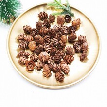 �����}�QС�ɹ��b�ͯ�ֹ������ֹ�diy�׃��@�[�������b�