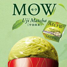 ɭ��MOW������ձ��M�����Ĩ�豭�b���ζѩ��W�t�����������