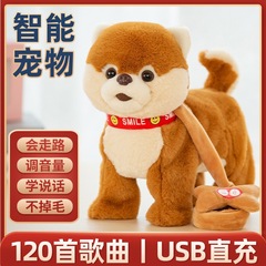 子供の電動のぬいぐるみの犬は歌を歌うことができます。