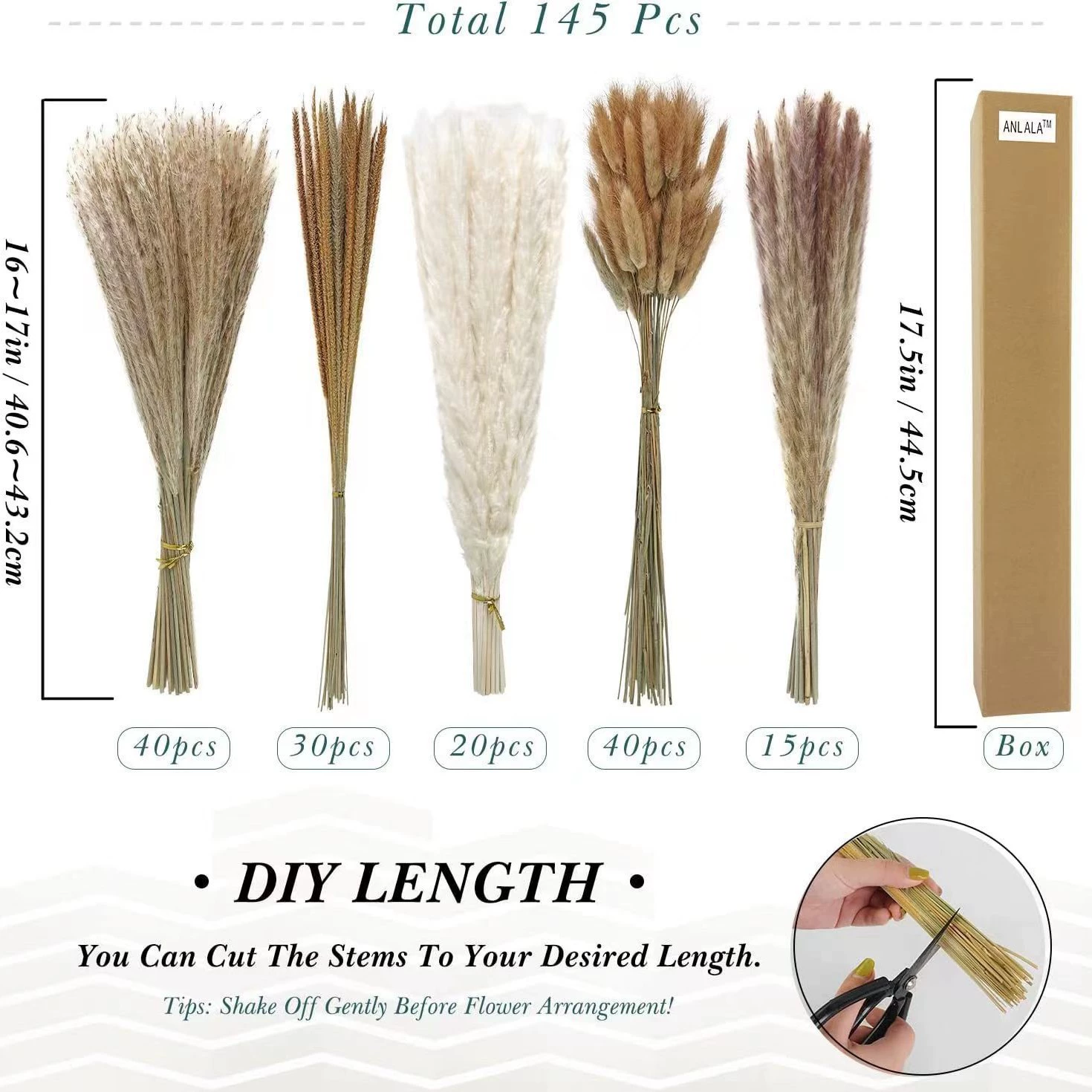 Organic set, wholesale, high-quality style