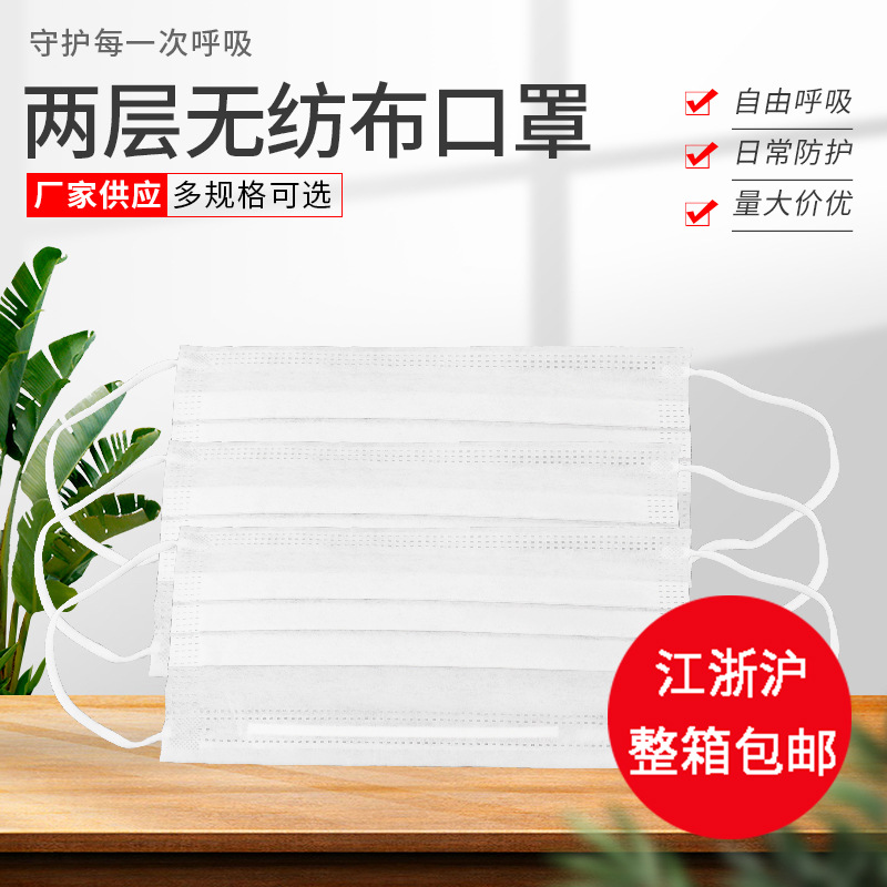 厂家供应两层ES净化口罩头挂款成人口罩批发白色薄款一次性口罩