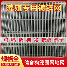 ��\�Bֳ�F�z�W�WƬƬ�L���ξW����ڽ��ٸ��x���o�Ӵ�С��䓽z�W