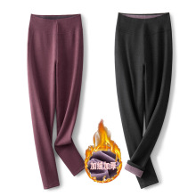 2024�����ӽq�Ӻ��@�ݸߏ�����ůѝ300��Ӵ�a���s�������ѝŮ