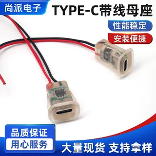 TYPE-C母座2P 注胶台灯typec充电口风扇玩具改装剃须刀usb连接器
