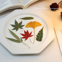 酒吧鸡尾酒创意装饰物干花压花竹叶红枫叶酒杯酒签真树叶植物标本