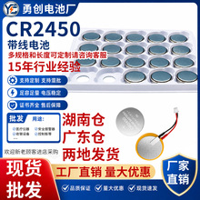 CR2450可带线纽扣电池3V锂锰RTC后备PCB焊线焊脚水表传感模组厂家
