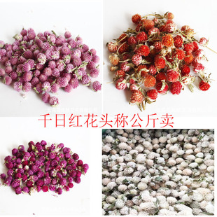 ǧ�ռtǧ�շ��ϼt��÷�����^�ɻ����^diy���ϰ���Ϯa�����l