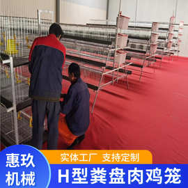 H型立式粪盘肉鸡笼厂家定制三层四层鸡笼子农用畜牧镀锌鸡用