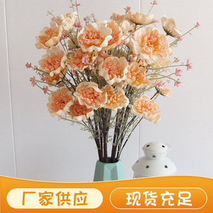 ������N���۵����廨�͏d�����b[�O�[����Y�����������l