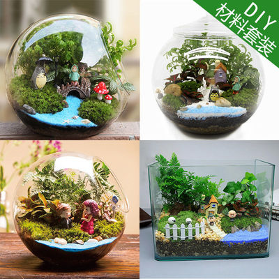 玻璃花房微观苔藓绿植物微景观组合盆栽生态瓶DIY材料包盆景套装
