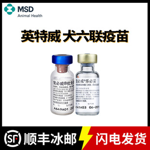 Ӣ���������猙�������⿵������Ȯ�ü�СȮ����С6�h������