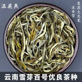 茉莉大白毫浓香茉莉花茶龙毫云南雪芽百号品种大叶种花茶茶厂批发