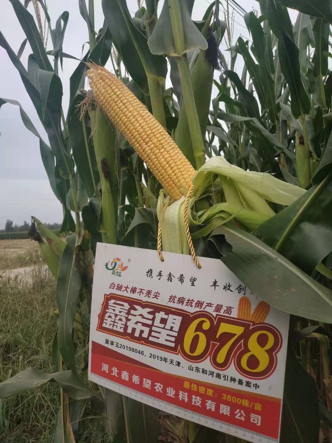 微信图片_20210402103328