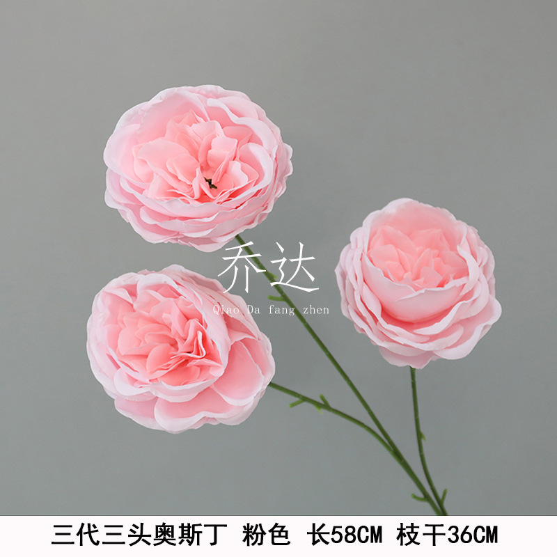 Three generations of three-headed austin